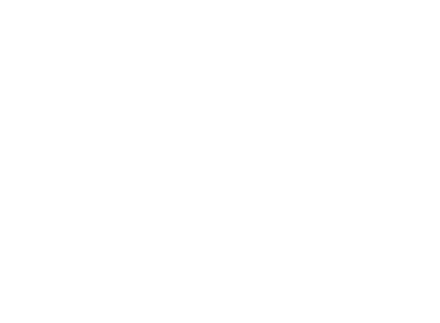 International Breathwork Foundation